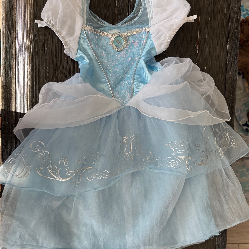 Cinderella Disney Costume Dress